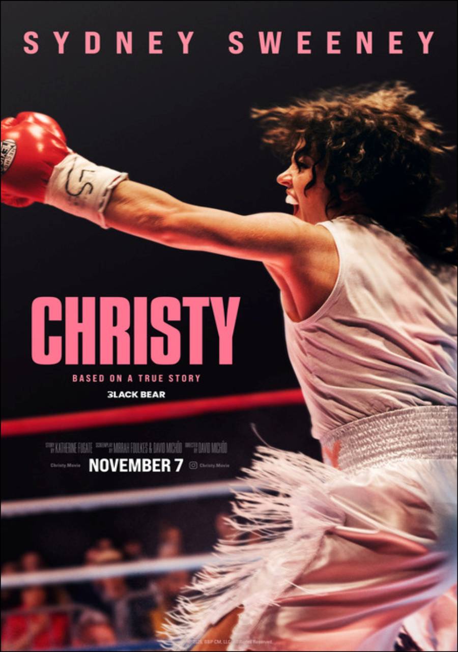Christy Poster Image