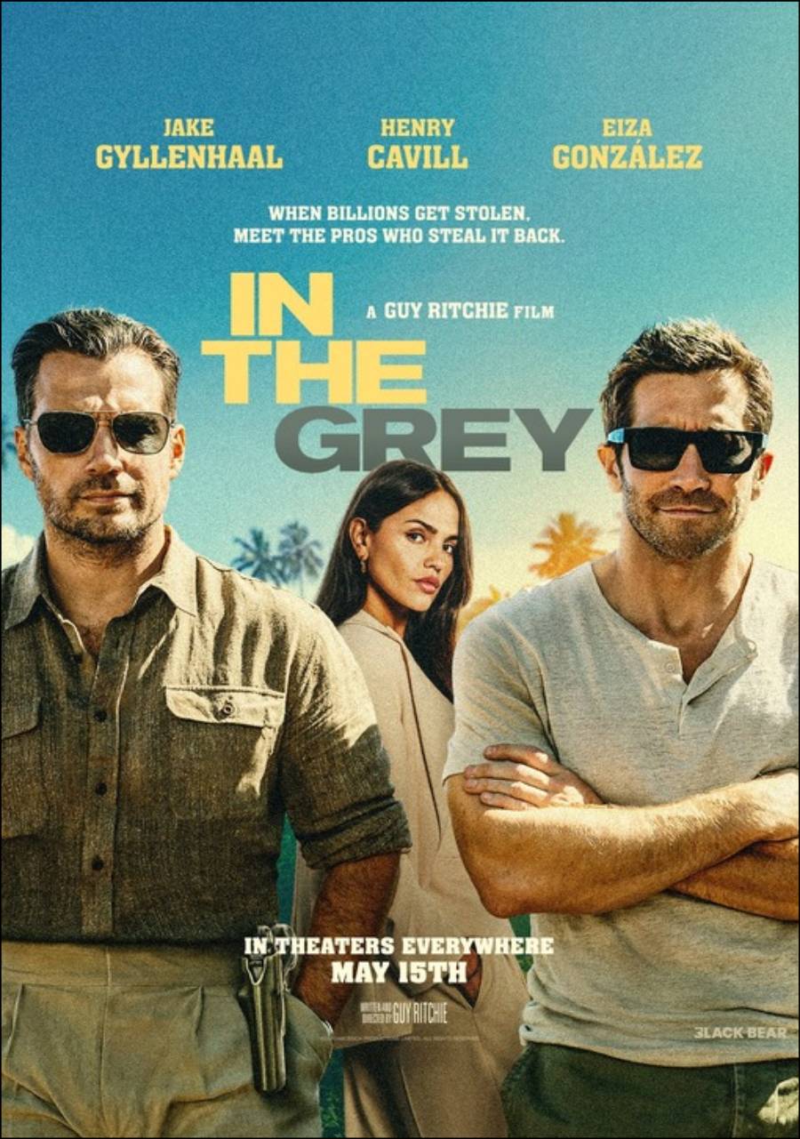 In The Grey Poster Image