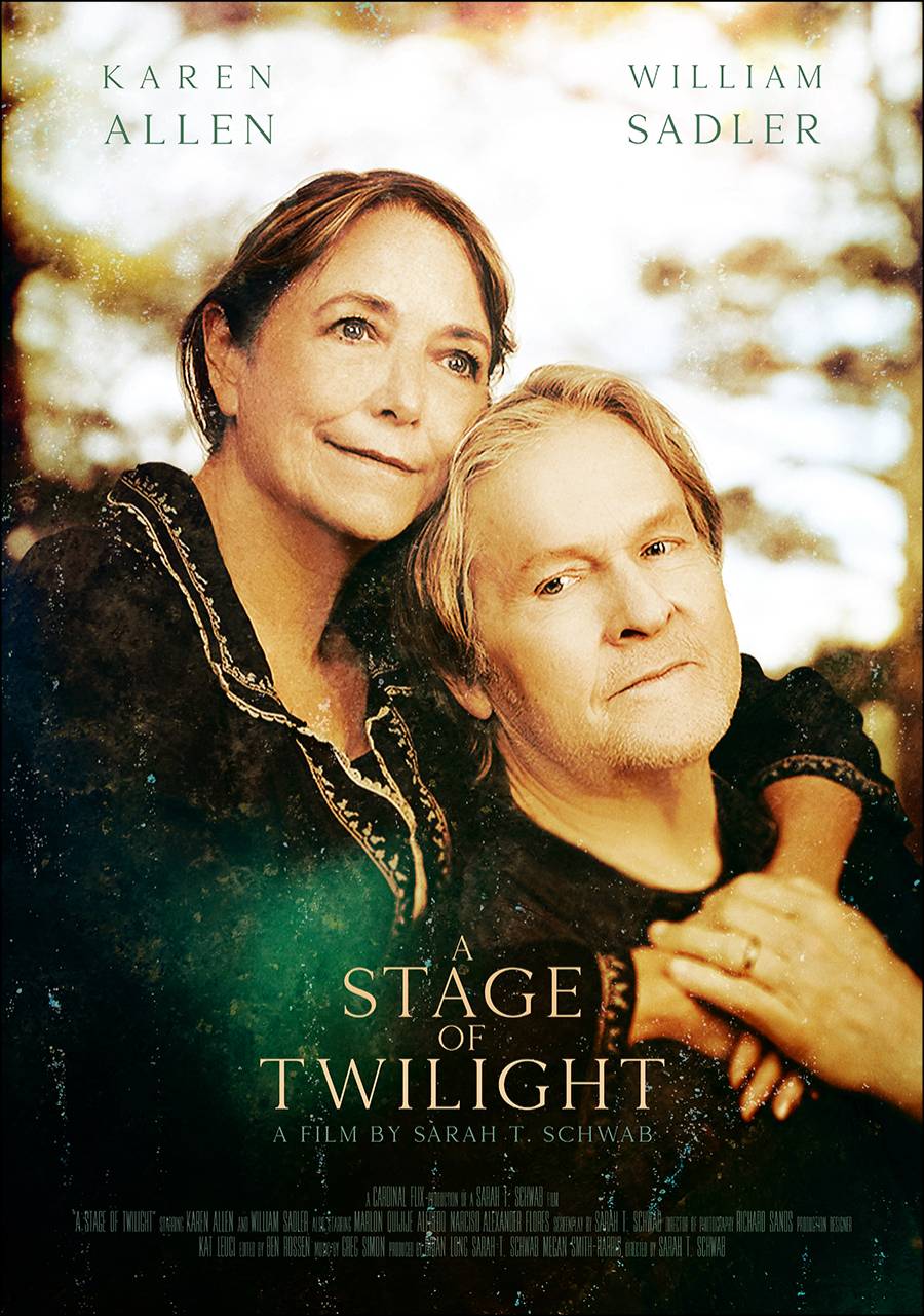 A Stage of Twilight Poster Image